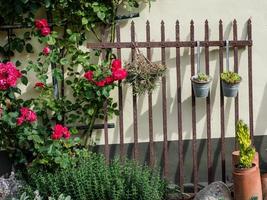 simpatico giardino nel Germania foto