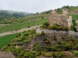 il fiume Reno vicino abbuffata foto