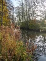 autunno tempo a il fiume foto