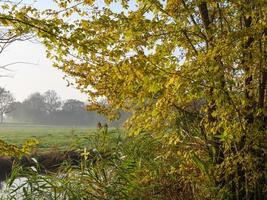 autunno tempo a il fiume foto