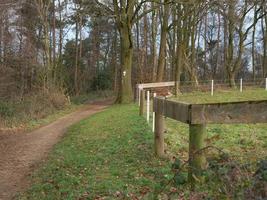 escursioni a piedi nel il Tedesco Münsterland foto