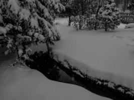 inverno tempo nel TE Tedesco Münsterland foto