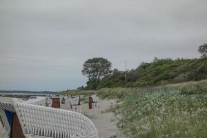 il isola di zingst foto