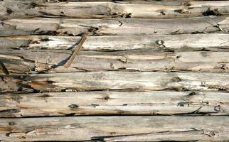 il di legno logs parete per sfondo foto