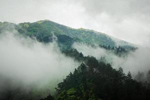 buio montagna, pino foresta con nebbia foto