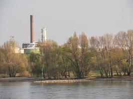 il Reno fiume vicino colonia foto