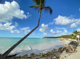 crociera il caraibico mare foto