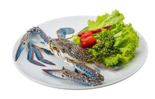 crudo blu Granchio su il piatto e bianca sfondo foto