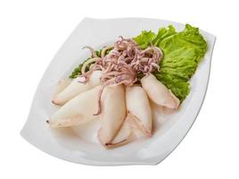 bollito calamaro su il piatto e bianca sfondo foto