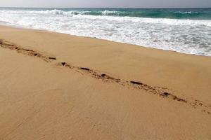 impronte nel il sabbia su il sponde di il mediterraneo mare. foto