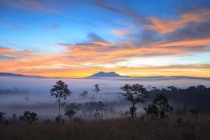 paesaggio nebbia nel mattina Alba a tung salang luang nazionale parco phetchabun, tung gergo luang è prateria savana nel Tailandia foto