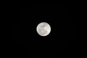 pieno Luna al di sopra di buio nero cielo a notte. foto