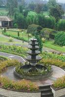 acqua Fontana nel fiori giardino premio foto