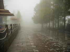 nebbia copertina tutti di tianzi montagna nel zhangjiajie nazionale foresta parco nel wulinyuan quartiere zhangjiajie città Cina nel il nebbioso giorno. foto