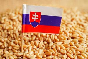 slovacchia su grano Grano, commercio esportare e economia concetto.