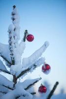 Natale palle su albero foto