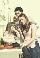 contento giovane famiglia nel cucina foto