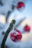 Natale palle su albero foto