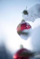 Natale palle su pino albero foto