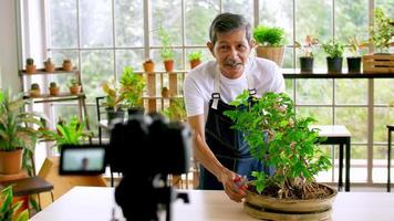 anziano giardiniere uomo vendita bellissimo impianti su sociale media di streaming vivere a partire dal il suo negozio. foto