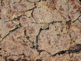 naturale suolo struttura sfondo foto