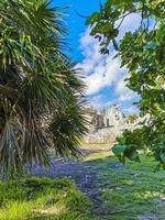 antiche rovine di tulum sito maya tempio piramidi manufatti vista sul mare messico. foto