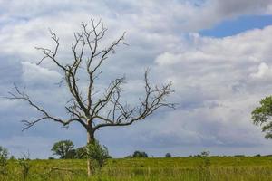 pesante pioggia tempesta nuvole vento onde acqua oste fiume Germania. foto