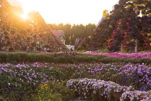 giardino dei miracoli di Dubai foto