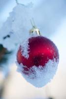 Natale palle su pino albero foto