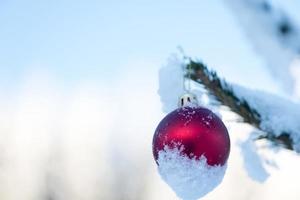 Natale palle su pino albero foto