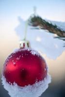 Natale palle su pino albero foto