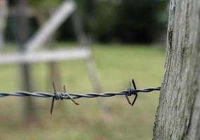 primo piano del filo spinato che protegge un campo foto