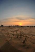 bellissimo tramonto nel deserto foto