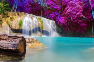 erawan cascata e bellissimo rosa foglie, erawan cascata, kanchanaburi, Tailandia