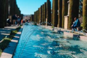 estate parco con un' Fontana foto