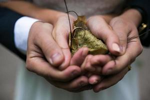 sposa e sposo Tenere nozze anelli e autunno le foglie nel mani foto