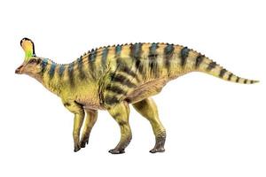 tsintaosauro spinorhinus dinosauro su bianca isolato sfondo ritaglio sentiero foto