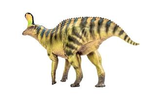 tsintaosauro spinorhinus dinosauro su bianca isolato sfondo ritaglio sentiero foto