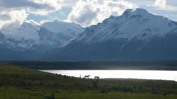 perito più ghiacciaio a los glaciare nazionale parco, argentina foto