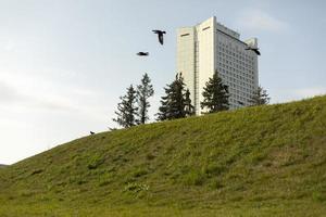 uccelli volare nel il parco contro il fondale di alberi e un' alto bianca costruzione. soleggiato giorno, passeggiate in giro il città. preparativi di parchi nel Russia. natura e città. foto