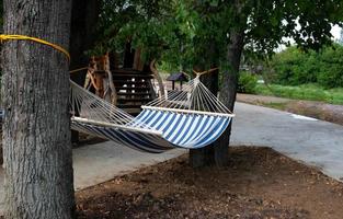 amaca fatto di naturale tessuto, sospeso a partire dal corde nel il giardino su alberi foto