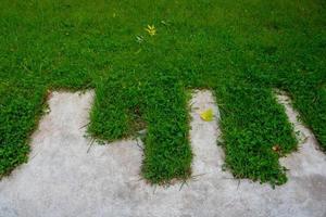 verde prato e calcestruzzo zigzag sentiero nel il parco foto