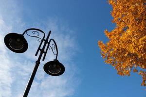 lampione e autunno le foglie su un' blu cielo sfondo foto