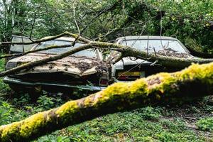 vecchio abbandonato guado macchine scaricati nel il foresta da qualche parte nel Belgio foto