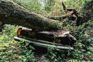 vecchio abbandonato guado macchine scaricati nel il foresta da qualche parte nel Belgio foto