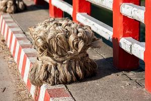 fibra vegetale di iuta, fibra di iuta grezza appesa foto