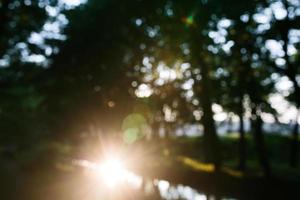 foresta nel il mattina, bokeh sfondo su messa a fuoco foto