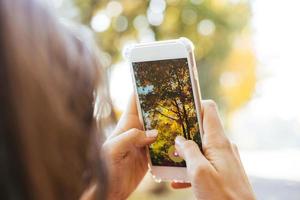 donna prende un' foto di un autunno albero su un' strada