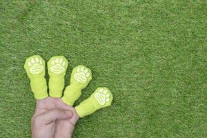 verde cane calzini dita con animale impronte modello su erba pavimento con copia spazio foto