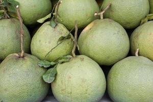 pomelo o pummelo foto